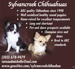 www.geocities.com/sylvancreekchihuahua