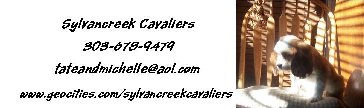 www.geocities.com/sylvancreekcavaliers